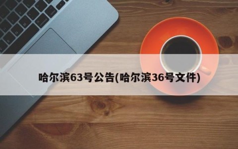 哈尔滨63号公告(哈尔滨36号文件)